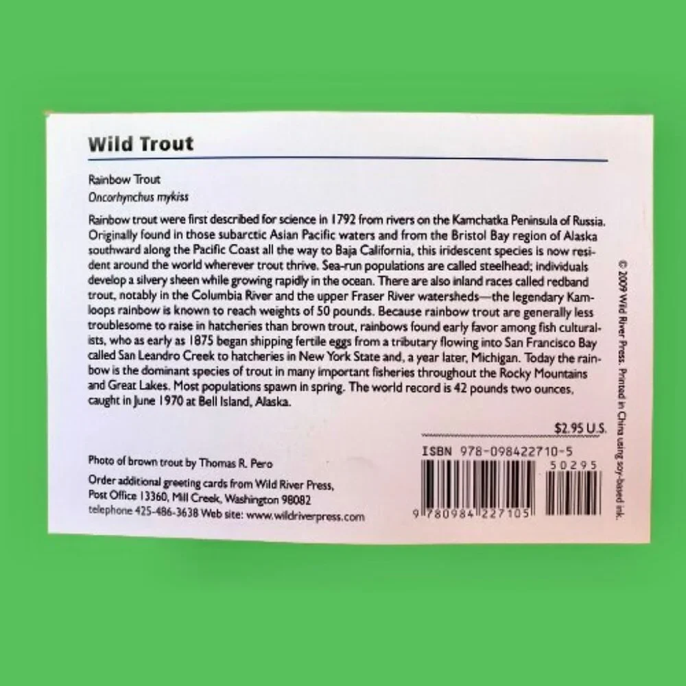 WILD TROUT Stationery Note Greeting Cards Blank 12 Cards + Envelopes Box